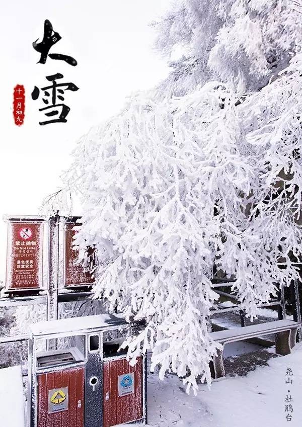 冬季再冷也要嗨，不只是温泉和滑雪，你想玩的河南这个地方都有！